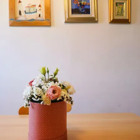 Apartment Caisa Classic Beachfront Zadar